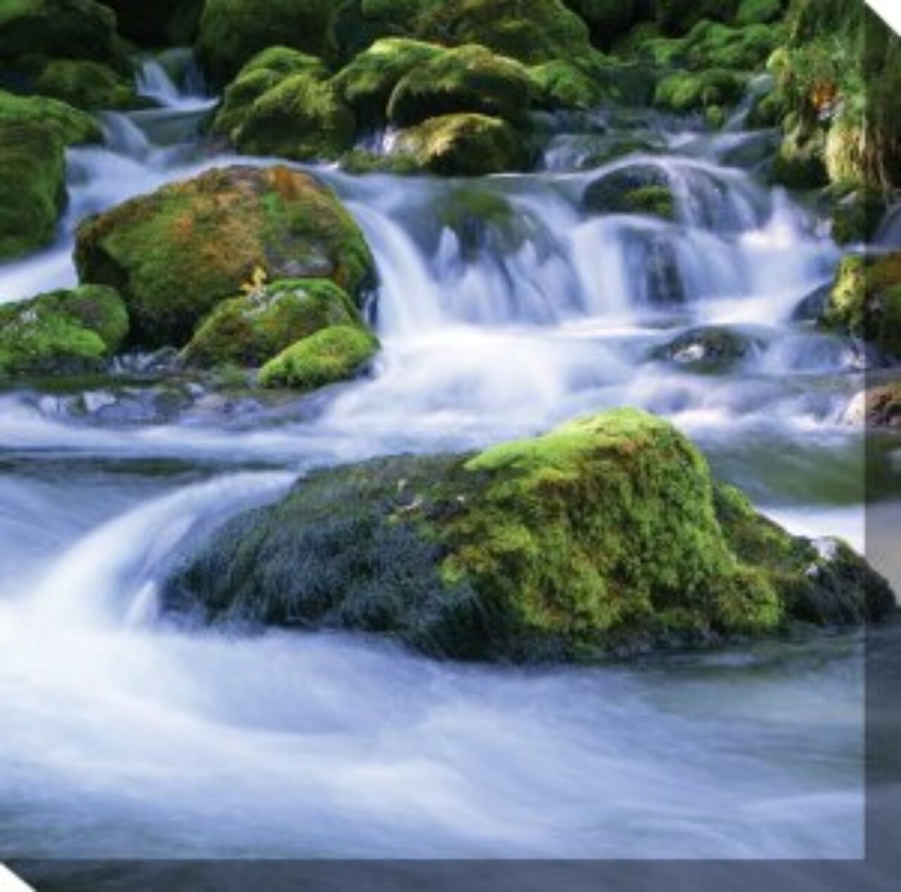 Outdoor Living and Style White and Green Mossy Rocks in River Outdoor Canvas Square Wall Art Decor 24" x 24"